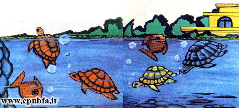 همه این لاکپشتها در یک باغ بزرگ و استخر پر از آبی که وسط باغ بود زندگی میکردند.